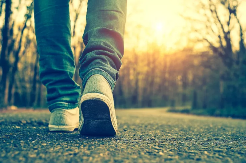Wandelen door de ongerepte natuur van Finland