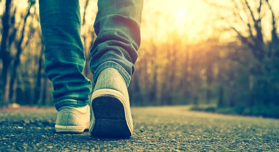 Wandelen door de ongerepte natuur van Finland